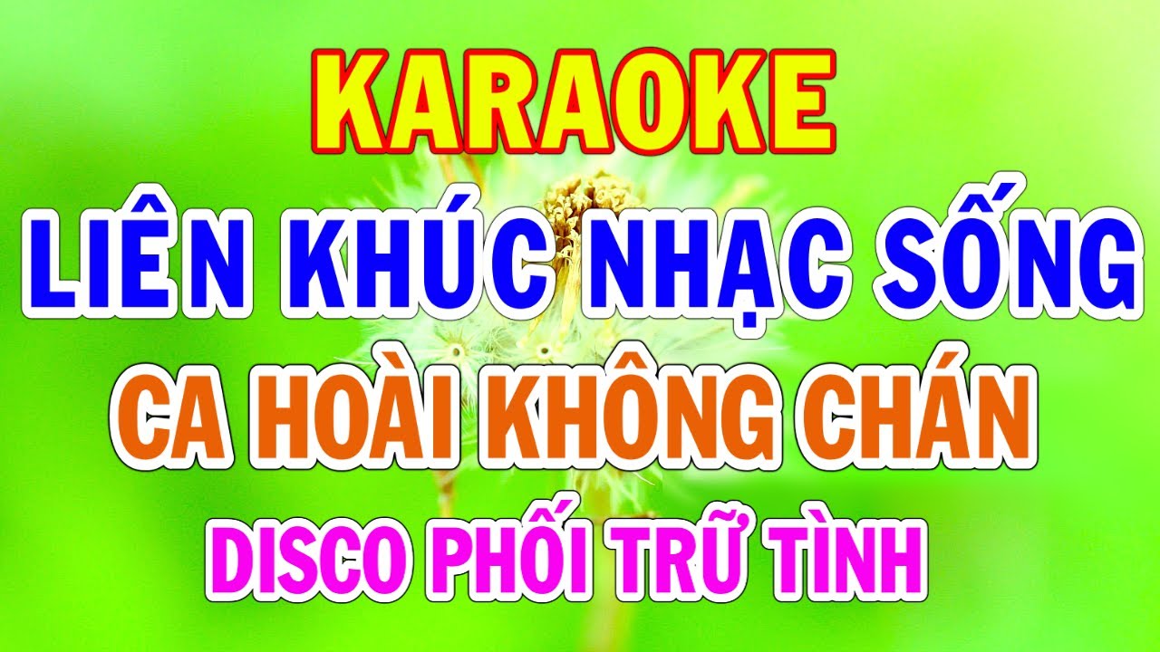 Karaoke Liên Khúc Trữ Tình Phối Disco Nhạc Cực Bốc Dễ Hát Thành Lý Organ