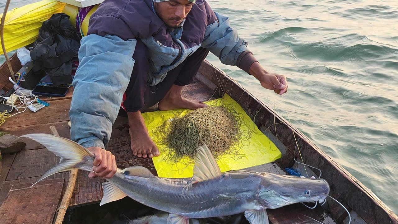বরশিতে উঠল বিশাল আইড়-বোয়াল! 😱 | Unbelievable Hook Fishing