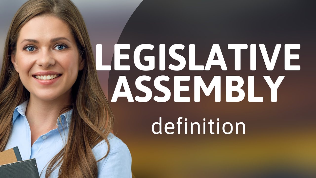 Legislative assembly &mdash; what is LEGISLATIVE ASSEMBLY meaning