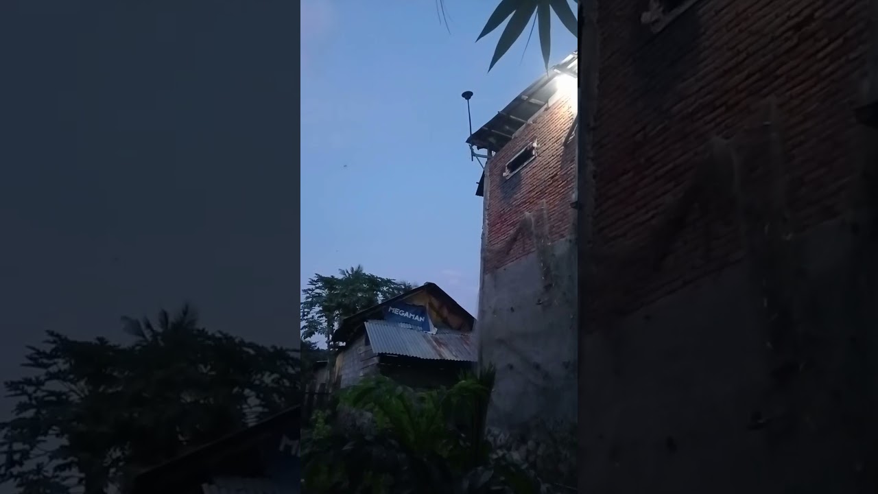 rbw odong odong numpang lewat 