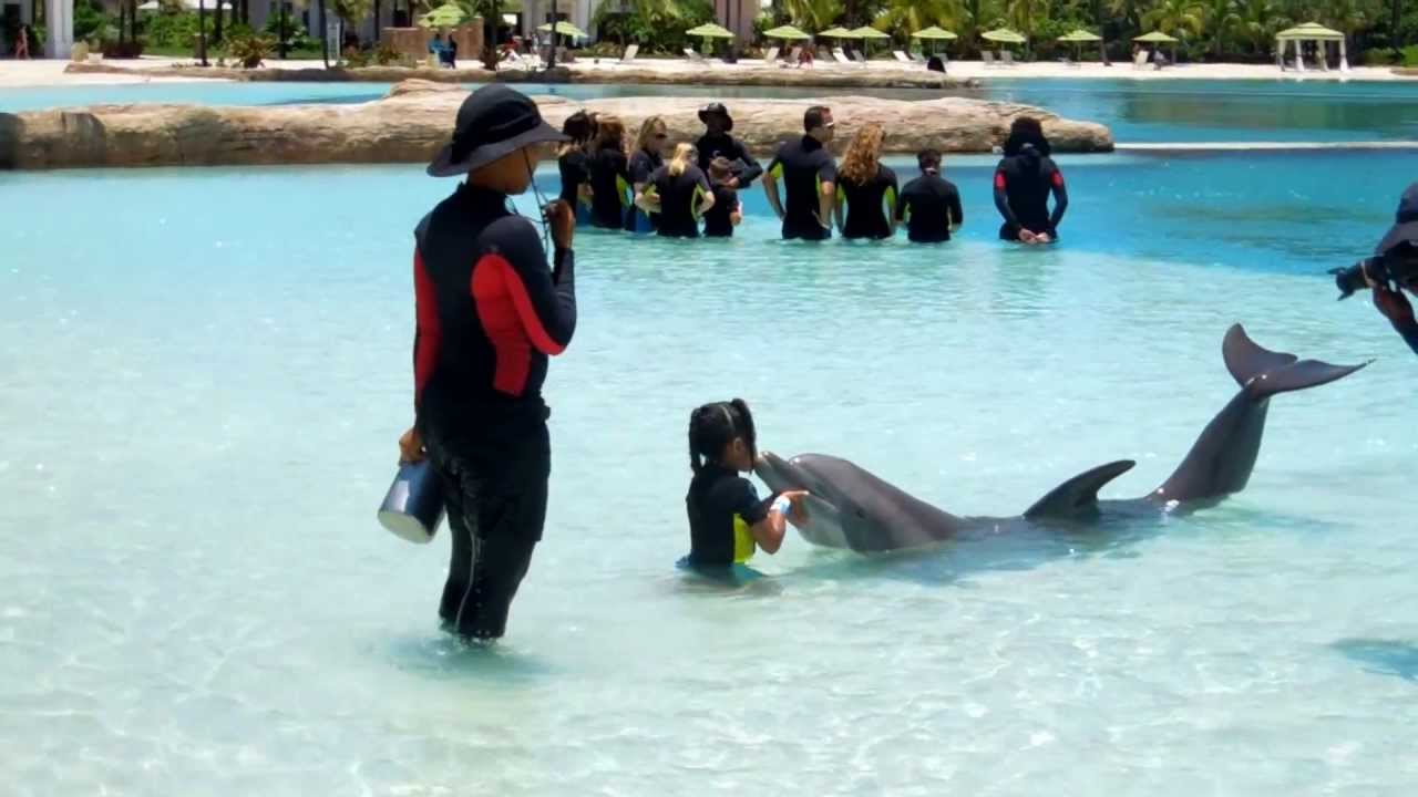 Atlantis Dolphin Swim