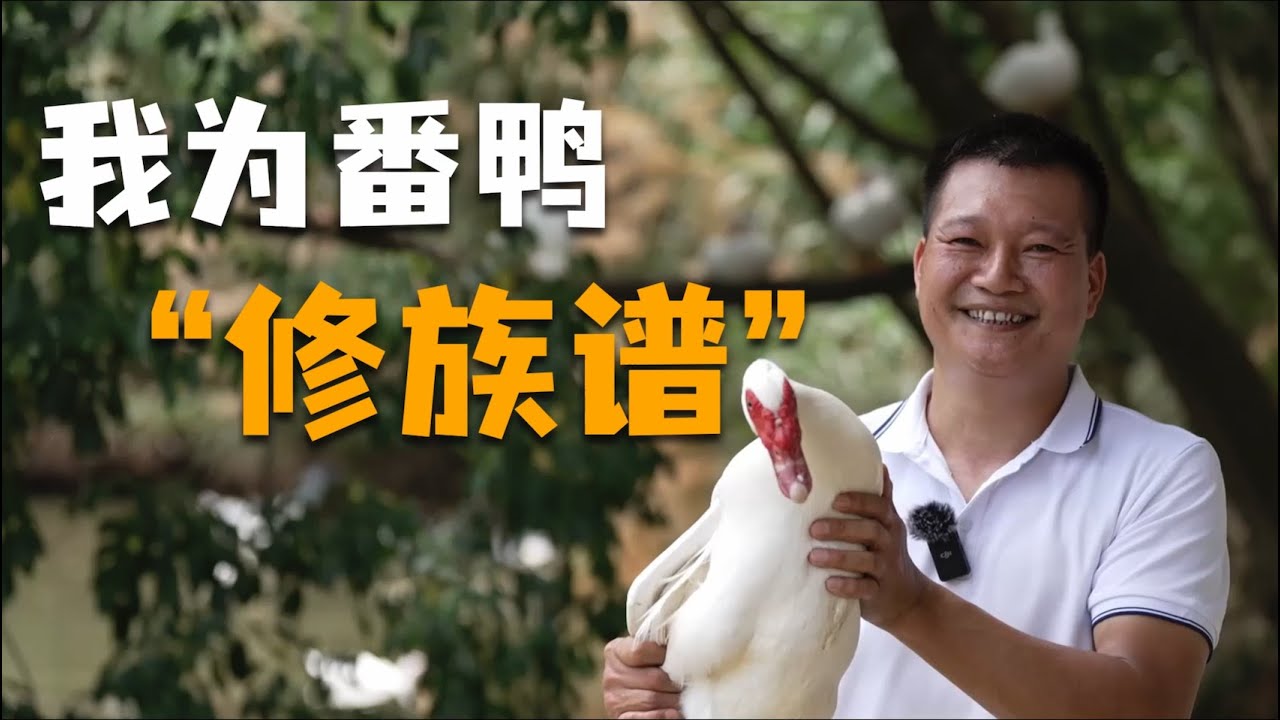 我為番鴨「修族譜」