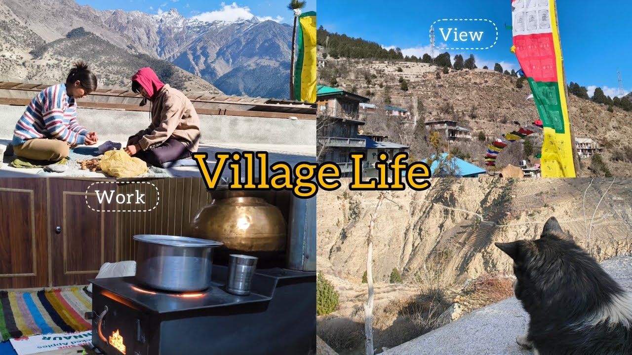Village Life is really tough/ kinnaur / vacation in my home 