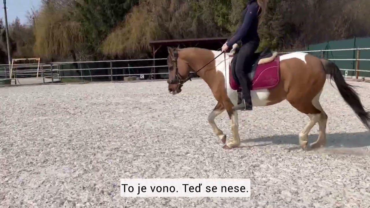 Ukázka z individuální lekce v sedle pro děti - členy klubu 🤩