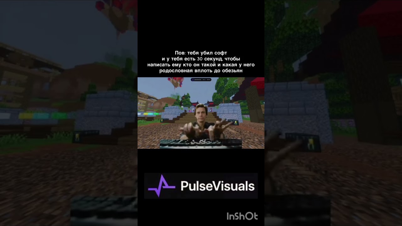 pulsevisuals.pro #pulsevisuals #funtime #minecraft #фантайм