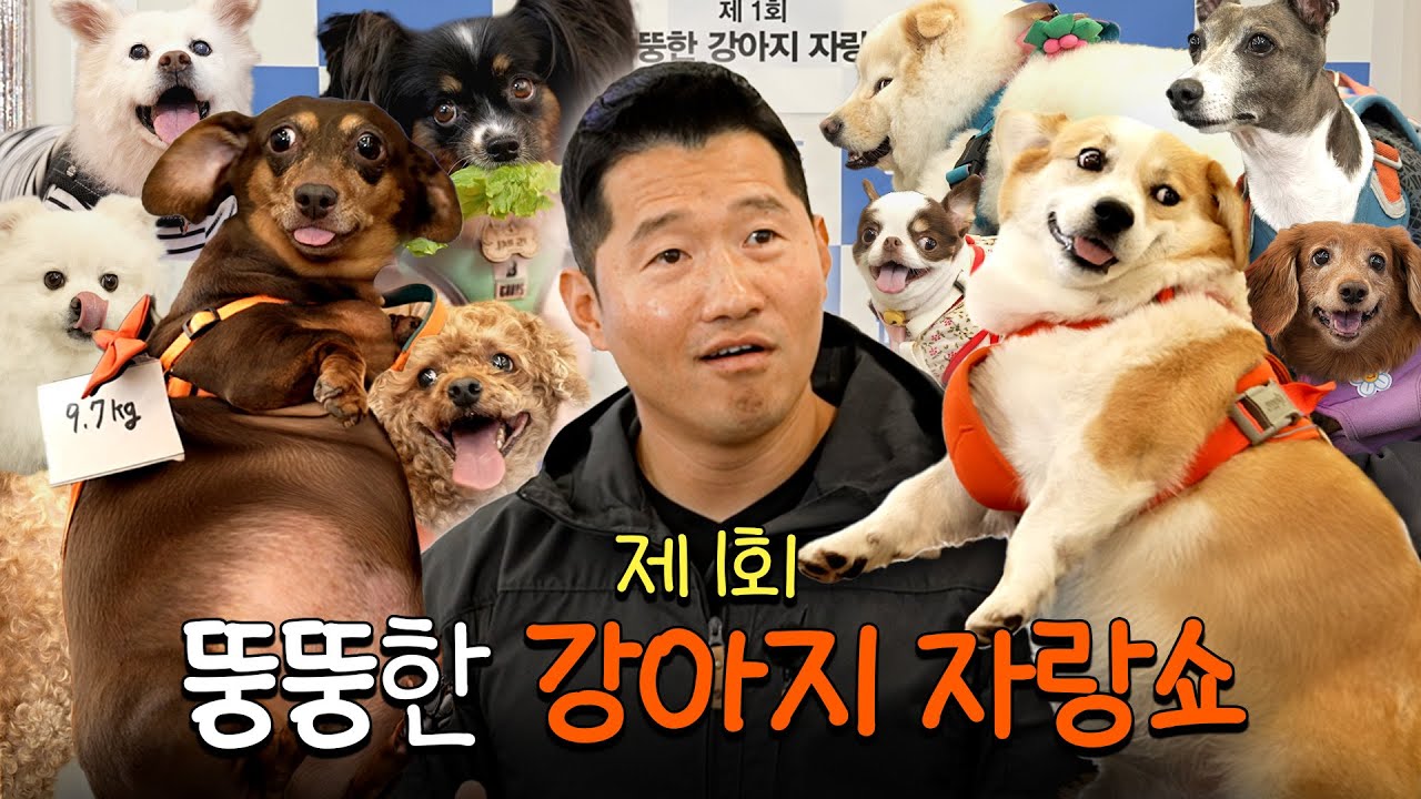 제1회 뚱뚱한 강아지 자랑쇼