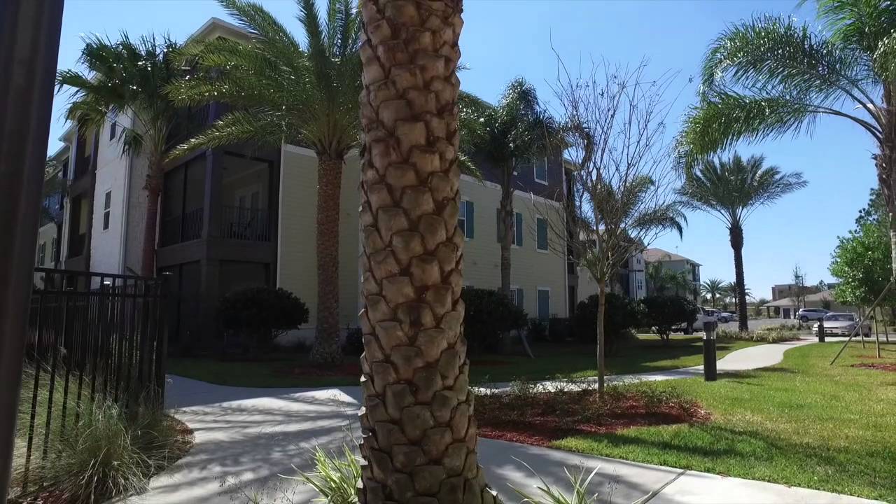 Resort Luxury Living Jacksonville Apartment Homes For Rent #477271
