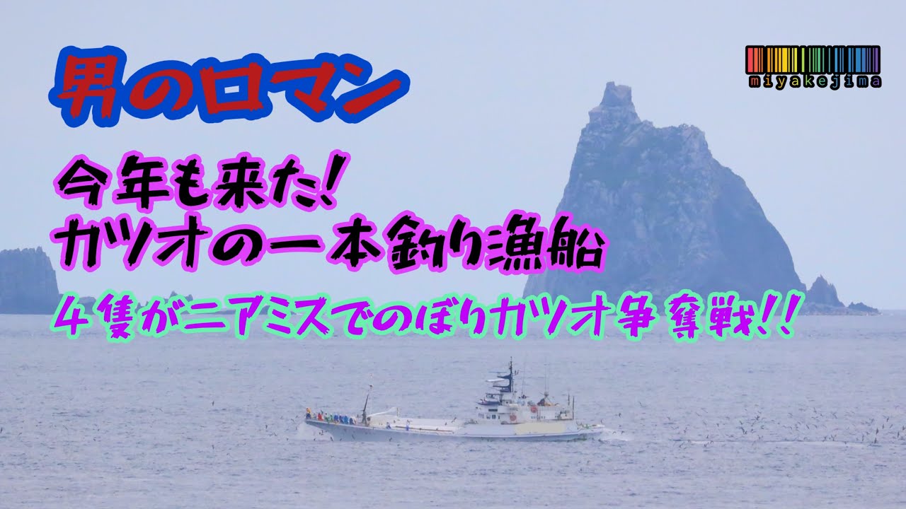 【男のロマン】今年も来た！カツオの一本釣り漁船～４隻が争奪戦～