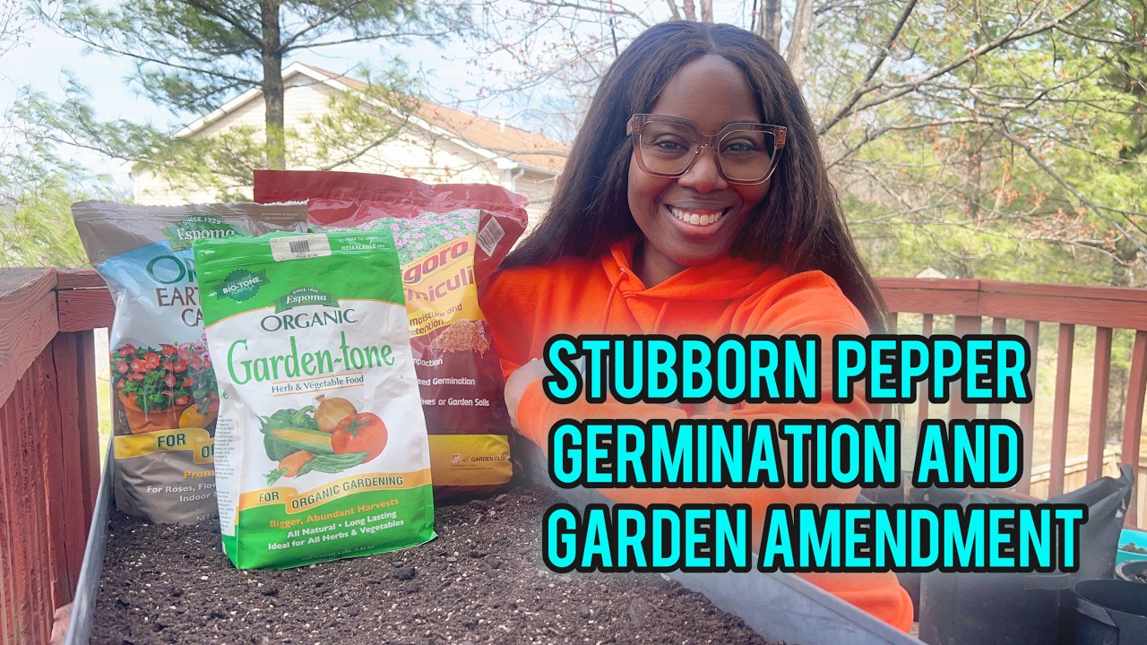 Peppers Not Germinating?!  + Lettuce Still Struggling + Urban Deck Soil Amend! | Zone 7b