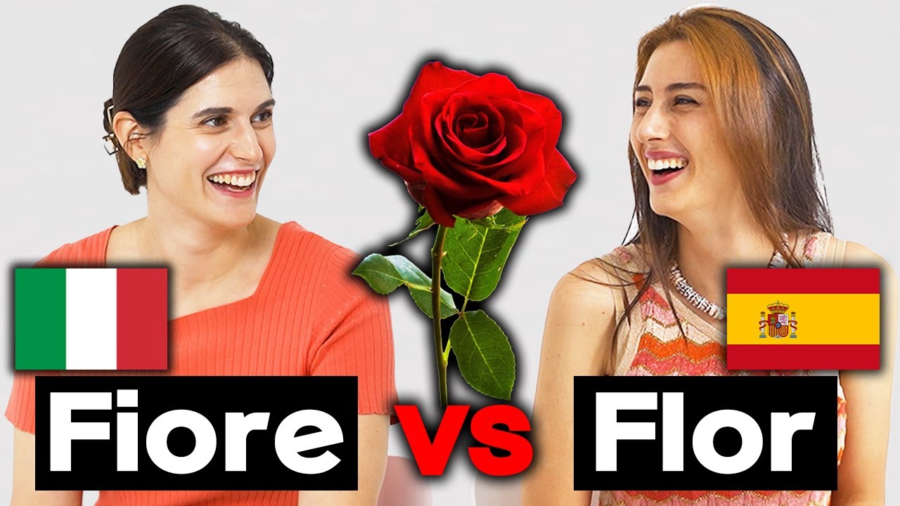 Spanish vs Italian How similar are they?!