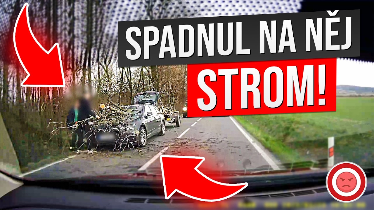Chudákovi SPADNUL STROM  na Auto a Těsné VYHNUTÍ s Popeláři