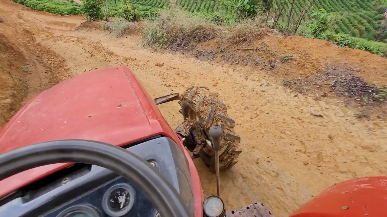 puxando café de trator na chuva, colheita de café e a importância de ter freio na carroça do trator
