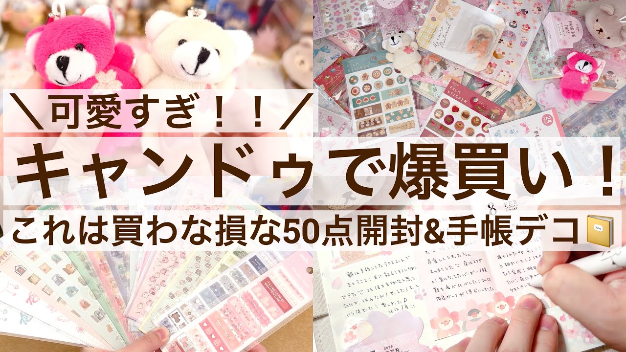【100均・手帳デコ】可愛すぎ！キャンドゥで爆買い！｜これは買わな損な50点開封&手帳デコ🌸｜シール 2612
