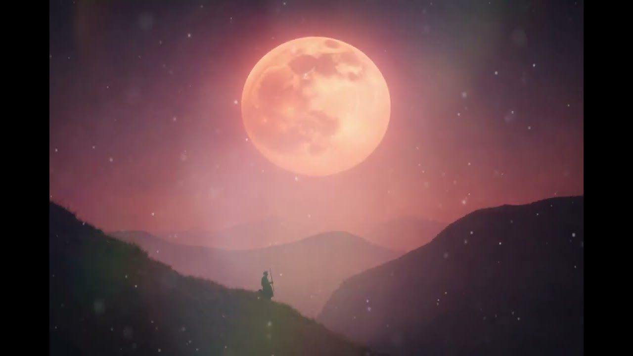 In My Presence (Vocal) | Lotus Grove Reflections