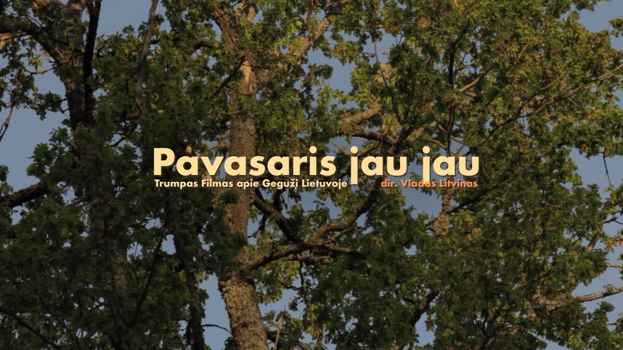 Pavasaris jau jau | Miško pasaka vaikams ir suaugusiems