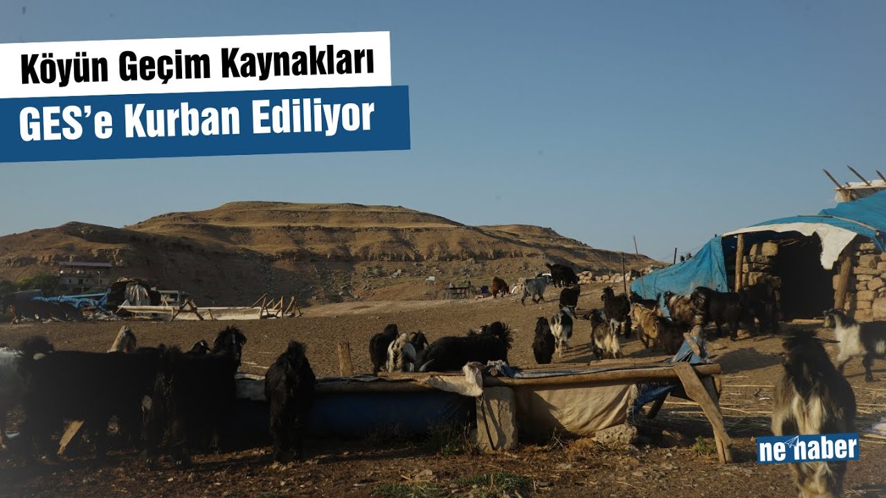 Köyün Geçim Kaynakları GES’e Kurban Ediliyor