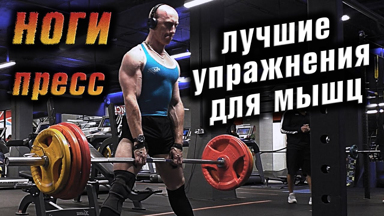 Качаем ноги и пресс. Лучшие упражнения для мышц ног и живота