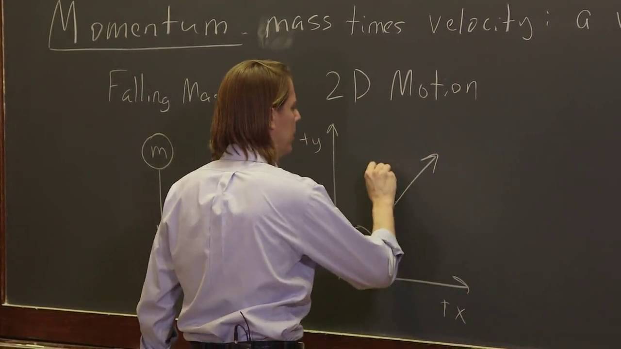 OpenStax AP Physics Chapter 8.1: Momentum Vector