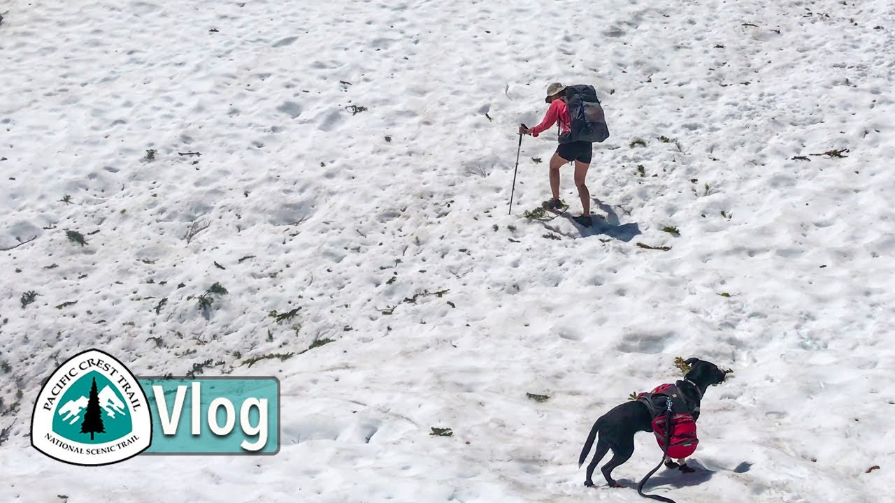 First Time Backpacking in Snow With My Mom and Dog