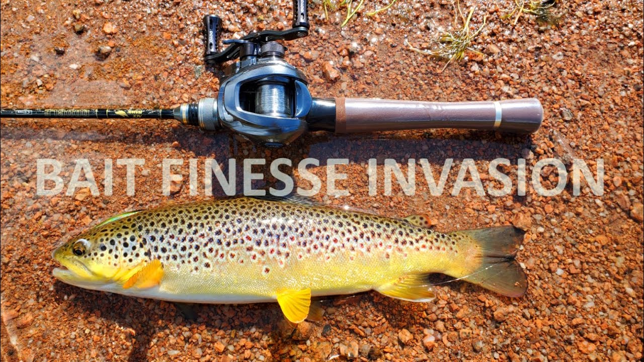 Bait Finesse Invades Fly Fishing Country... Day 2