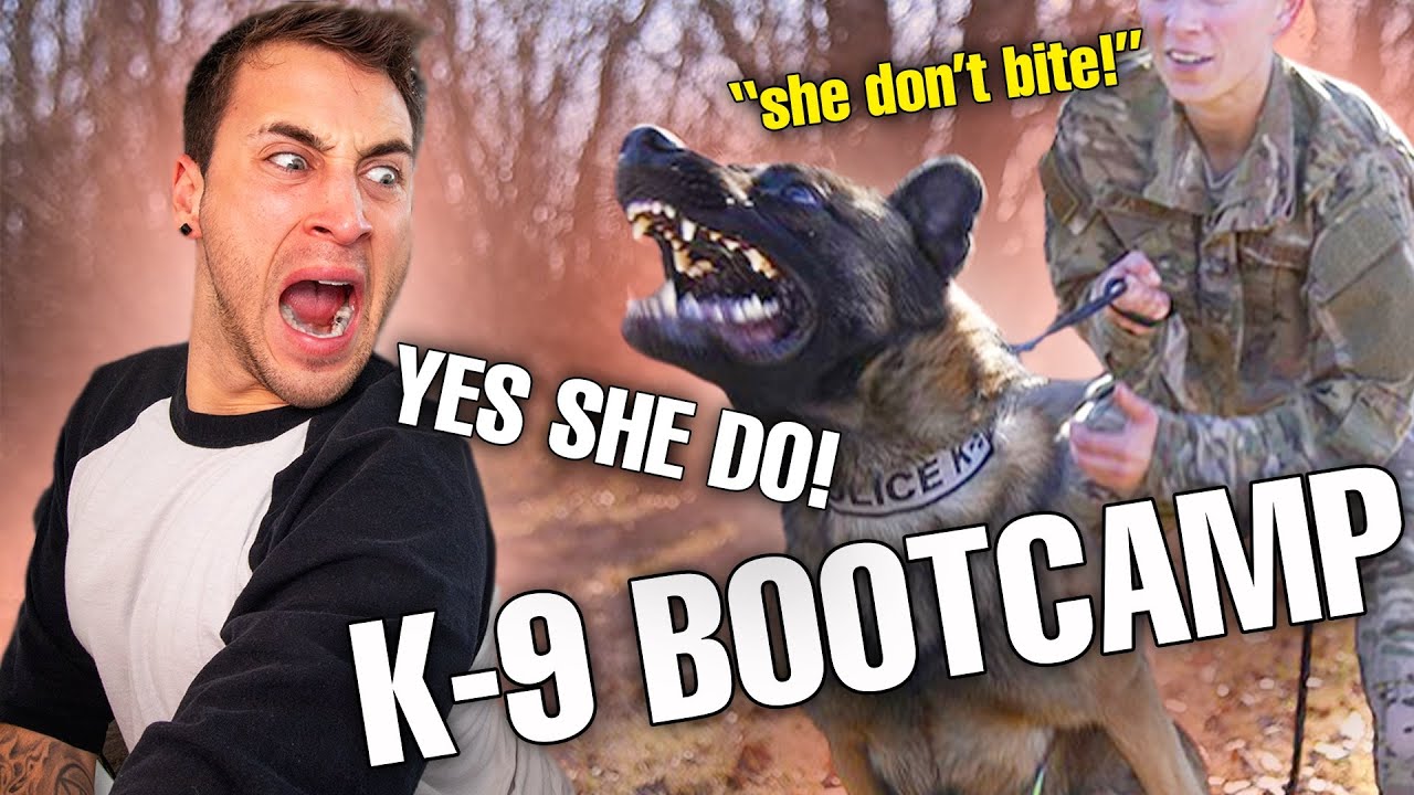 VETERAN RUNS FROM MILITARY K9 BOOT CAMP!!