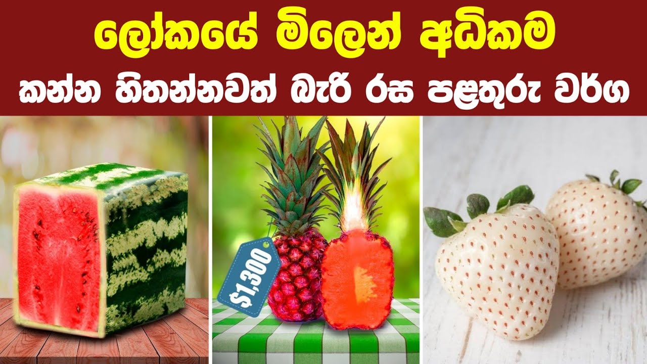 පෝසතුන් විතරක් කන මිල අධිකම පළතුරු වර්ග 06ක් | 06 Expensive Fruits Only The Richest Can Afford!