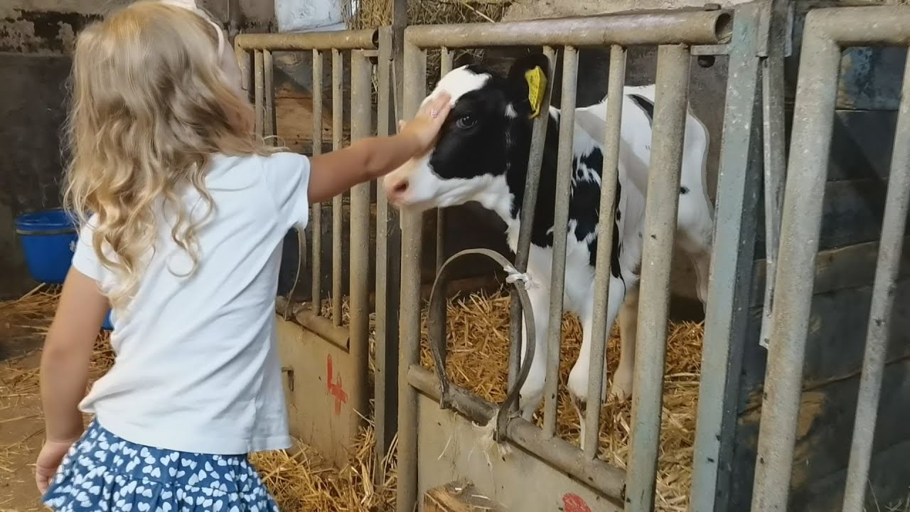 Bauernhof Ferien in der Eifel