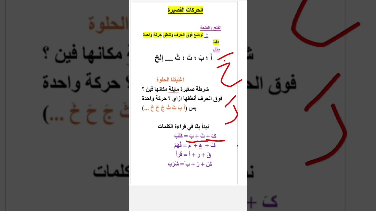 #تأسيس #نور #تعليم