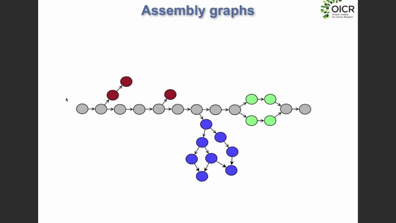De Novo Assembly