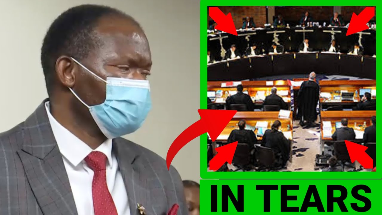 Michael Sandlana in Tears as High Court issues strong warning on immigration claim