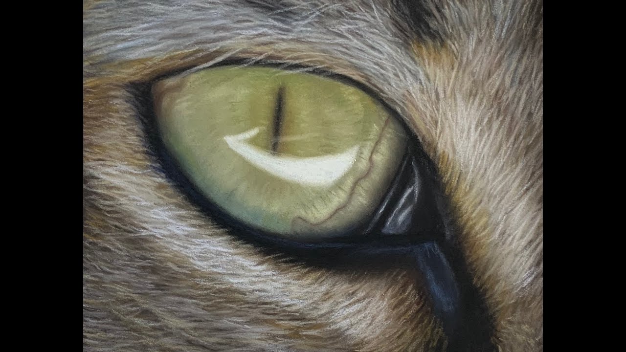Painting a Photorealistic Pastel Cat Eye (Pastel Pencil Timelapse)