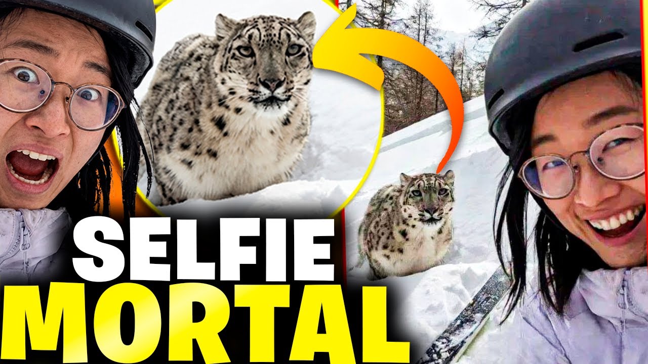 Turista China se tomó una SELFIE con un LEOPARDO... y acabó en TRAGEDIA 💀
