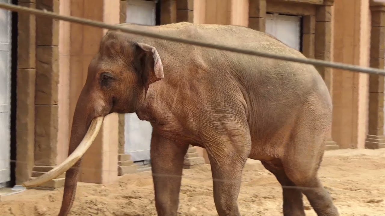 Zobaczcie jak zmieniło się nasze zoo!