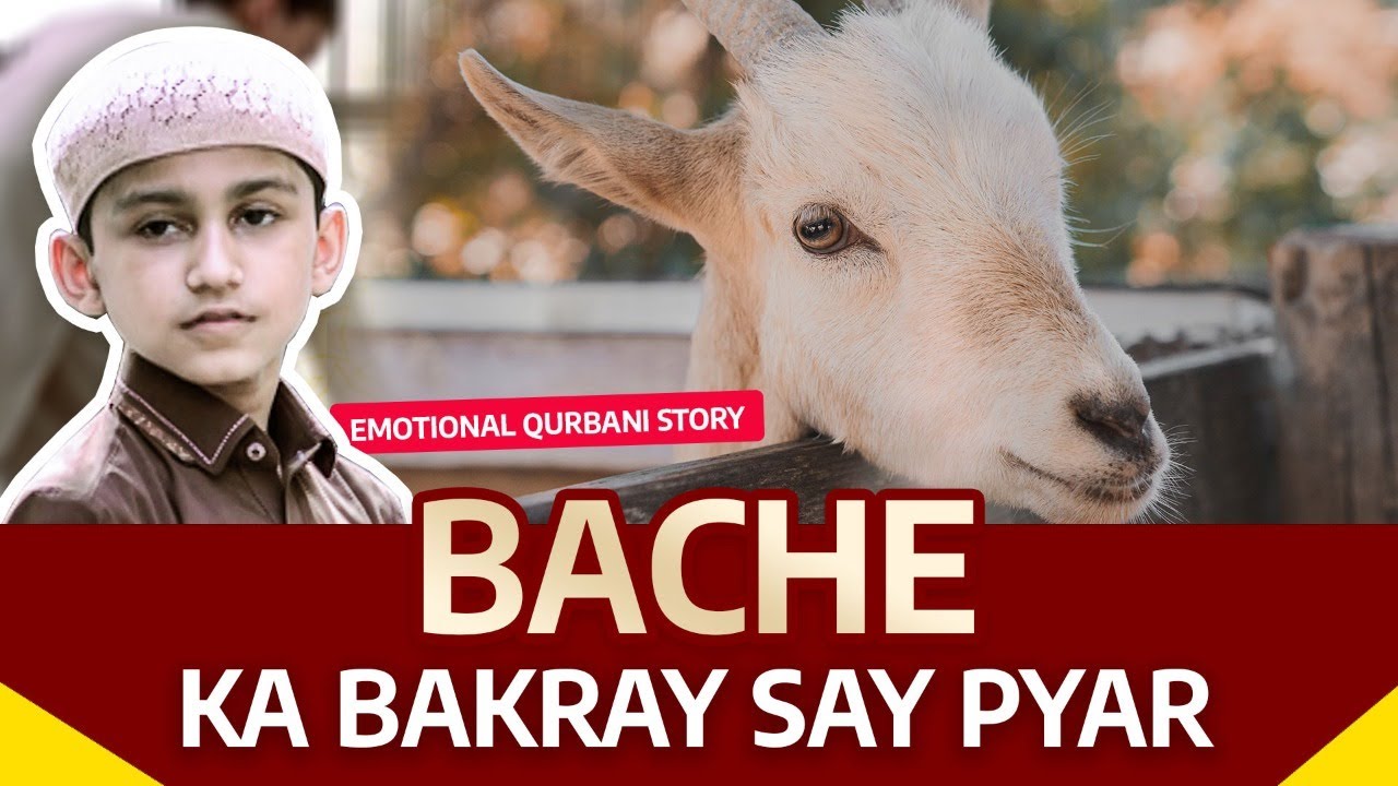 Bache Ka Bakray say Pyar | Bakra Eid Special | Emotional Qurbani Story | Qurbani 2021