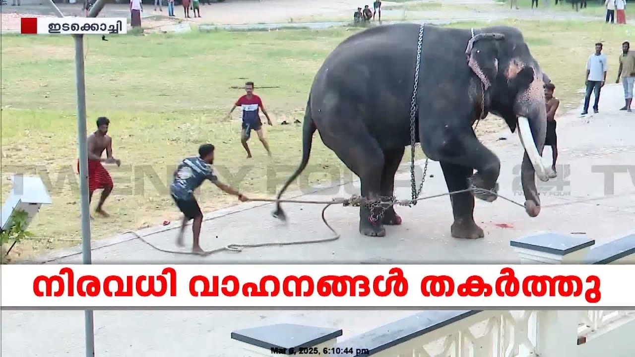 അക്രമാസക്തനായി 