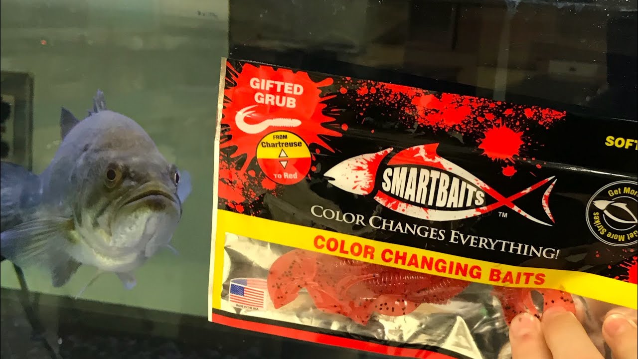 Do Smart Baits Color Changing Baits really work??? (Vs. Bass)
