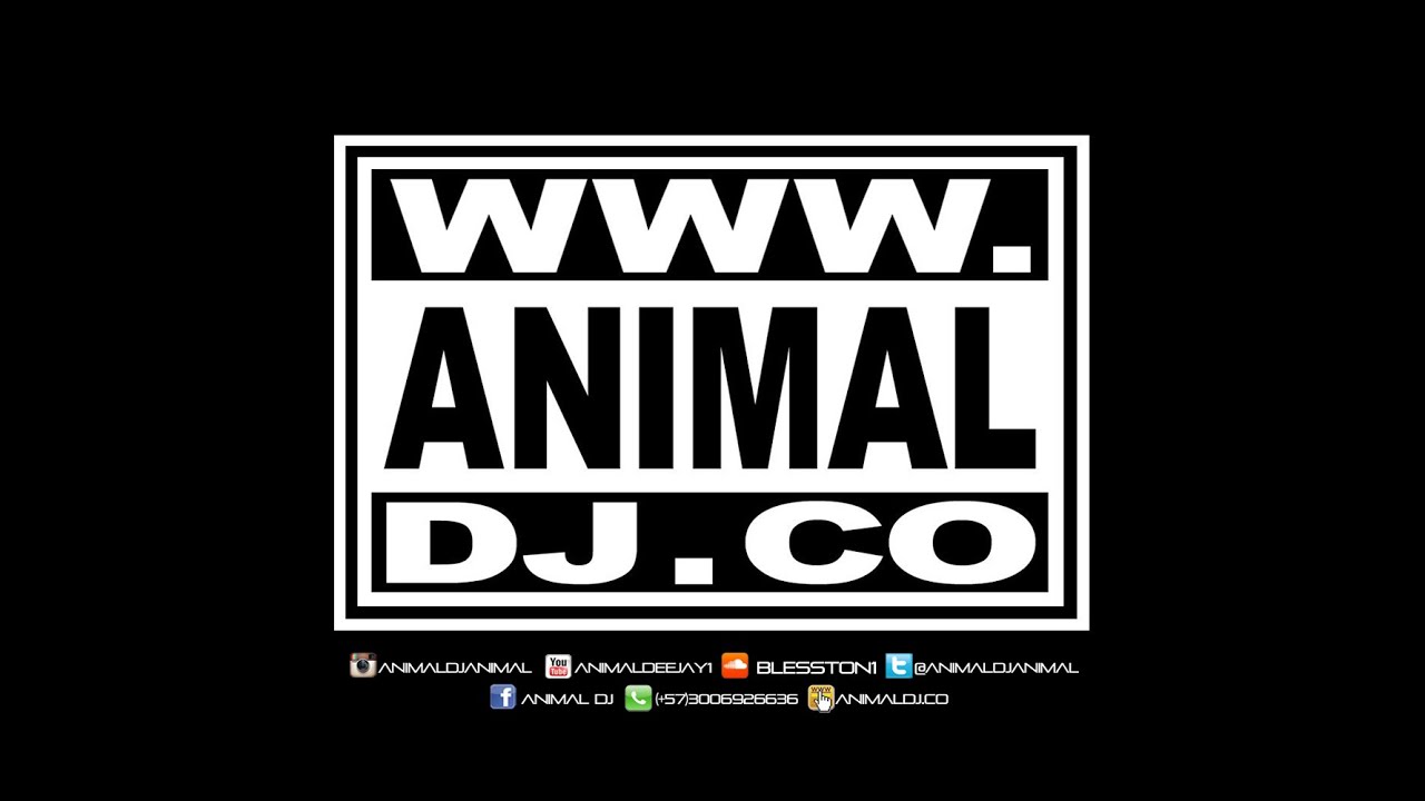 Regreton 5 - Animal Dj (www.animaldj.co)