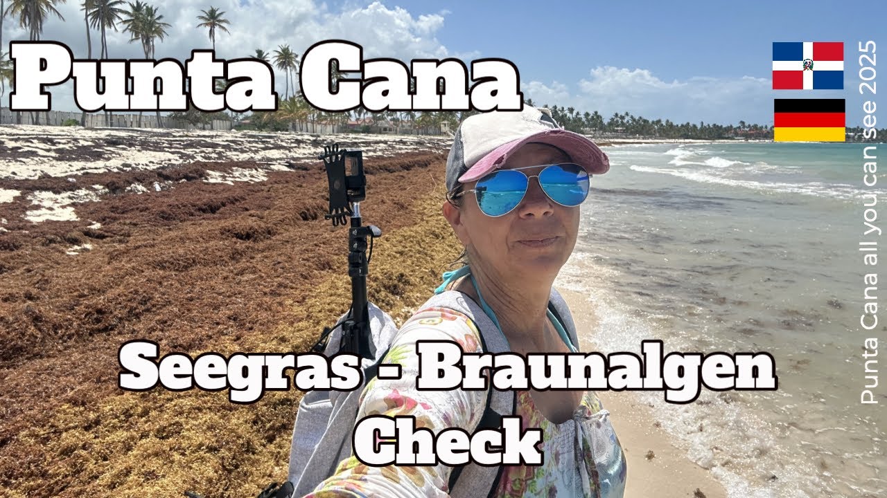 Seegrass / Braunalgen in Punta Cana! Wo und wie sieht es aus.