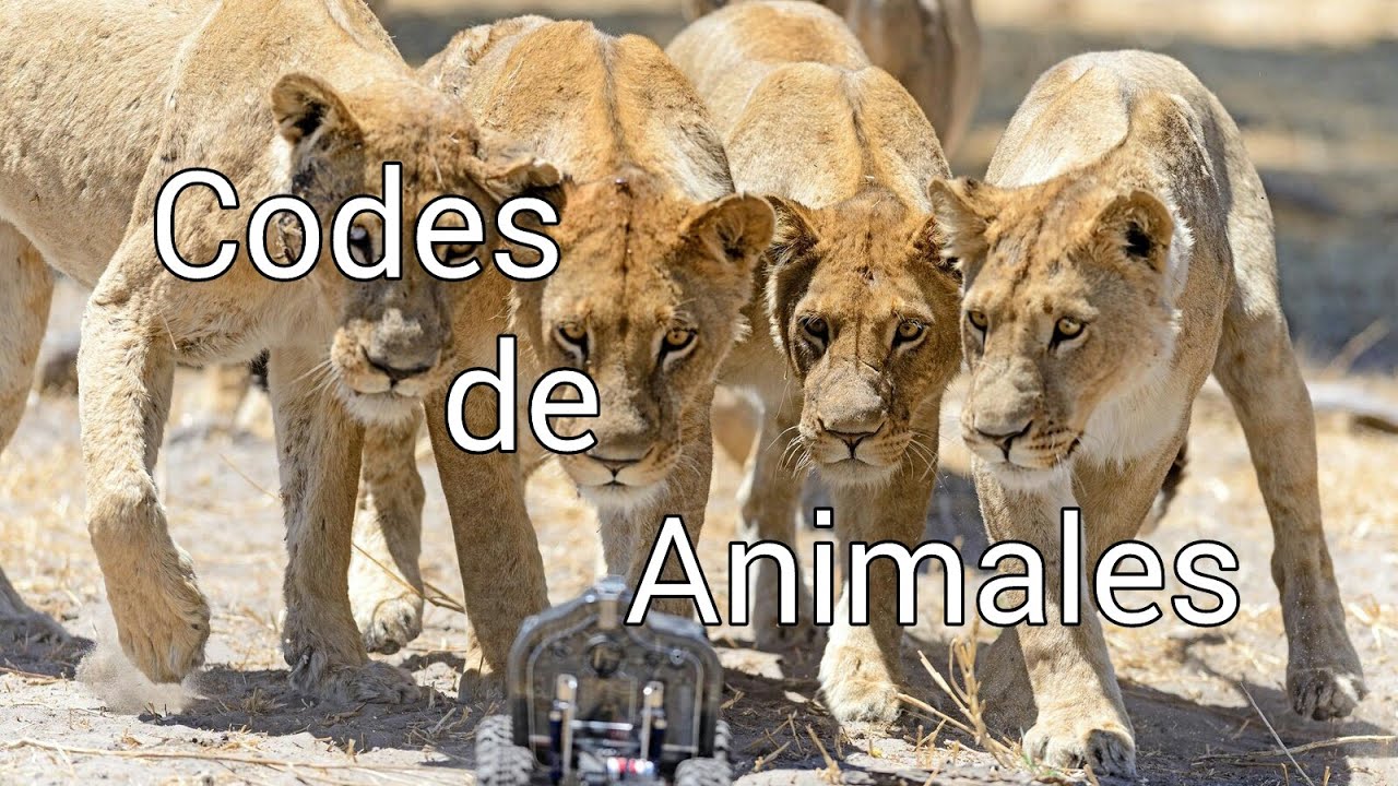 •~CASI todos los codes de los animales !!! Wild animals online [Español]~•