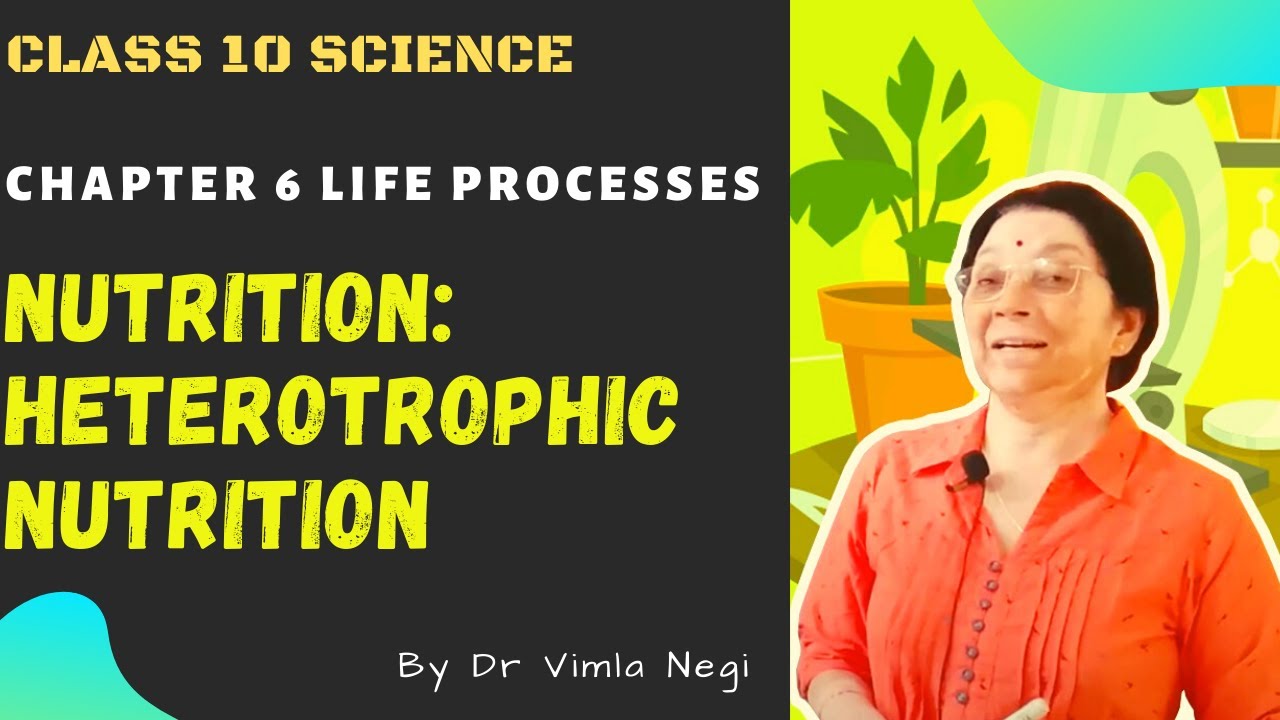 Nutrition: Heterotrophic Nutrition | Life Processes | NCERT Chapter 6 | Class 10 Science