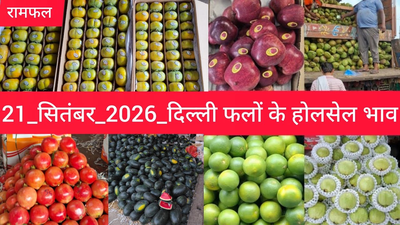21 September 2026 दिल्ली सभी फलों के भाव&nbsp; today fruit market price APMC delhi fruit market