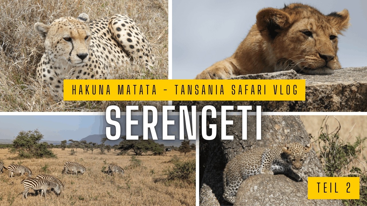Serengeti: Großkatzen und Tierherden im Land von 