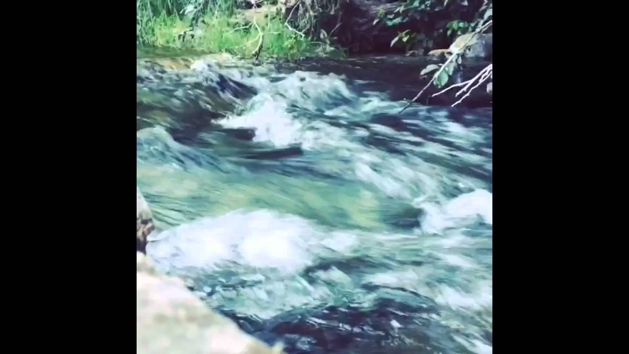 Meditation for Panic Attacks/Emergency Anxiety Relief