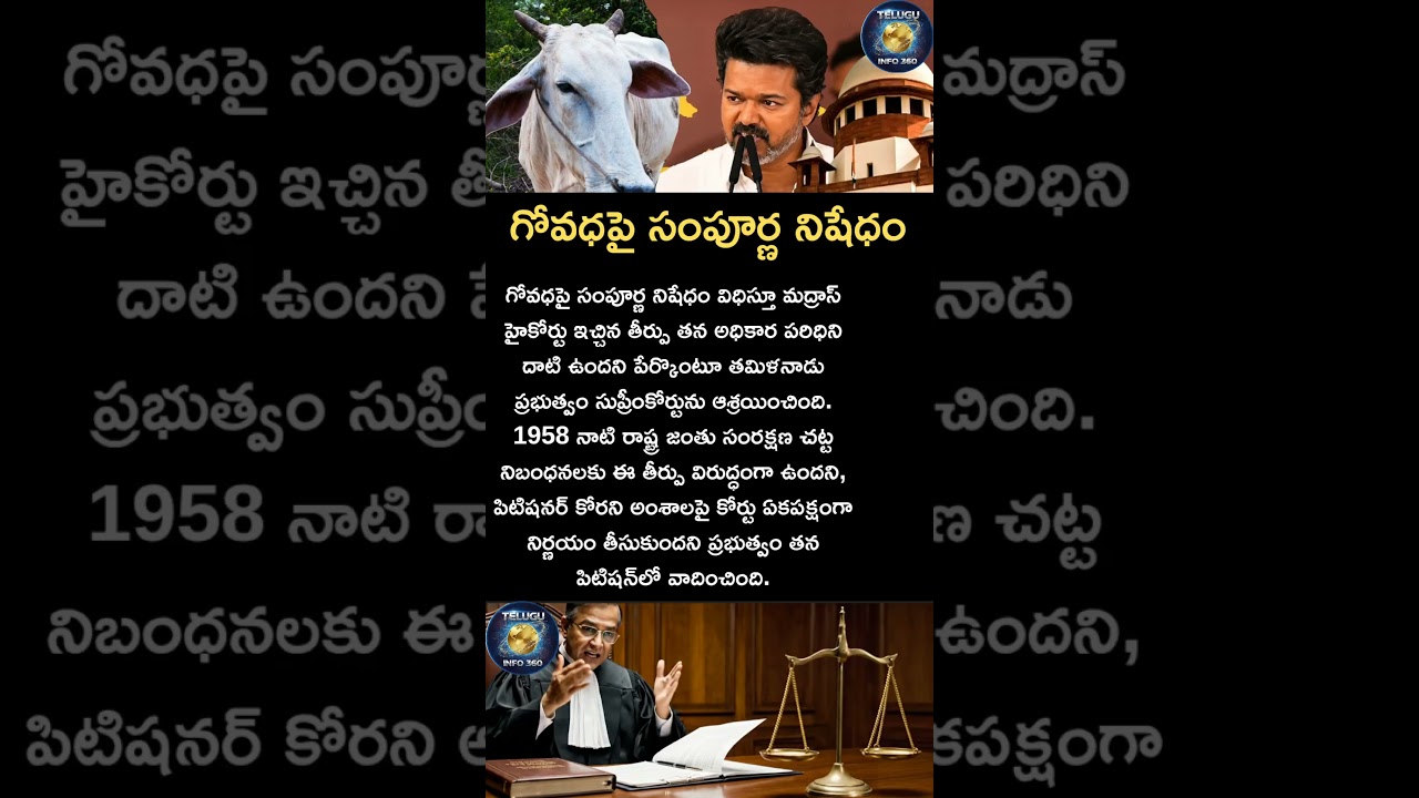 గోవధపై సంపూర్ణ నిషేధం#thalapathyvijay#thalapathy#tamilnadu#tamil#news#cow#highcourt#shorts#viral