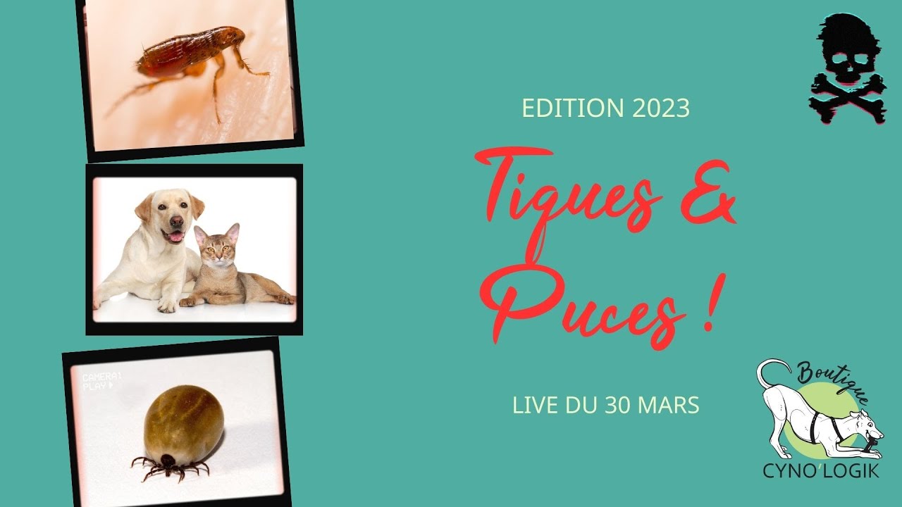 Combattre les tiques et puces au naturel !