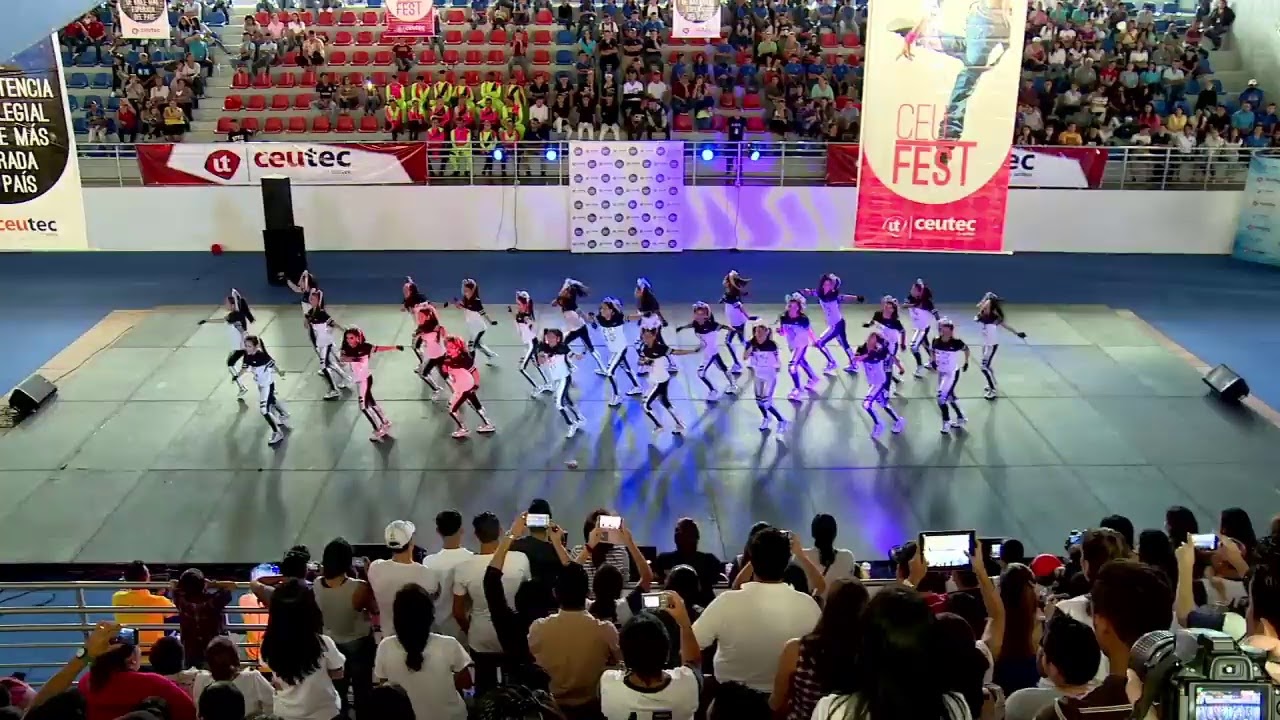 Danza Moderna Live Stream