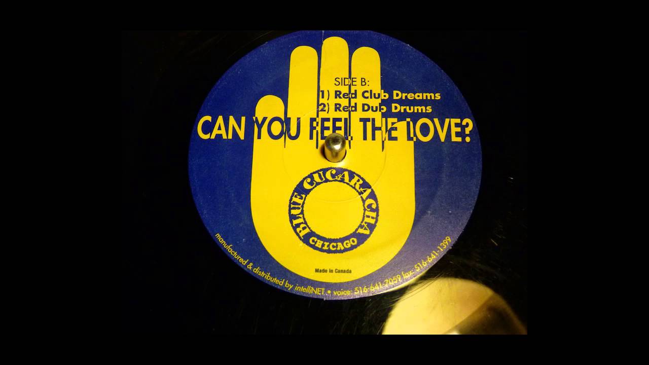 Derrick Carter & Chris Nazuka ‎– Can You Feel The Love?