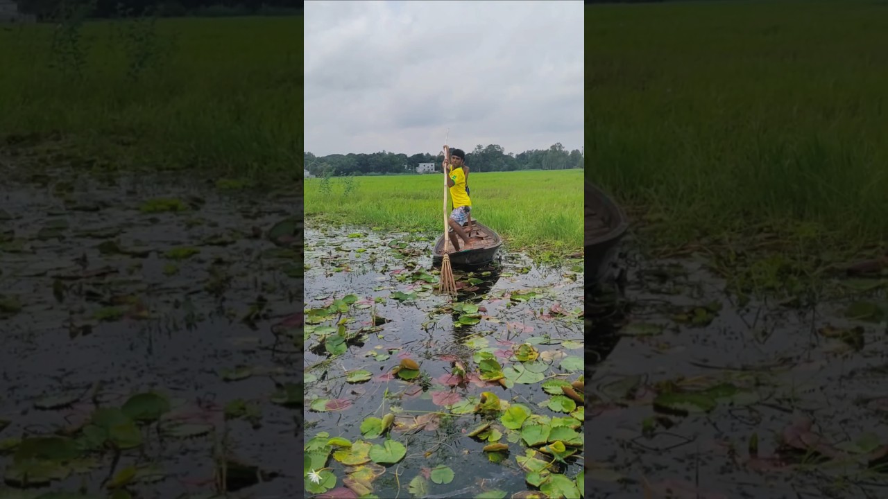 Most Popular Boat Fishing Video 2024 | ( part_2)  #uniquefishing #fishing #boatfishing #shorts