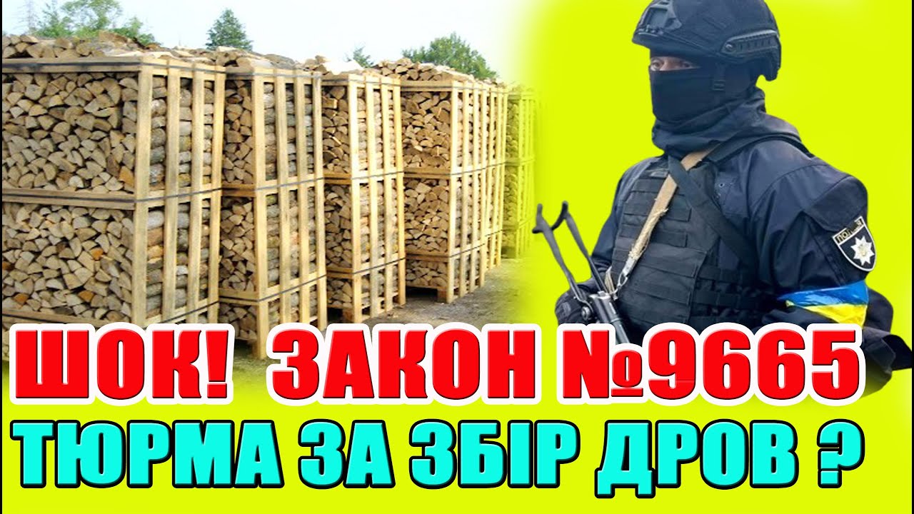 ШОКУЮЧИЙ ЗАКОН про ДРОВА: ТЮРМА / ШТРАФИ за зберігання деревини БЕЗ ДОКУМЕНТІВ? Роз'яснення!