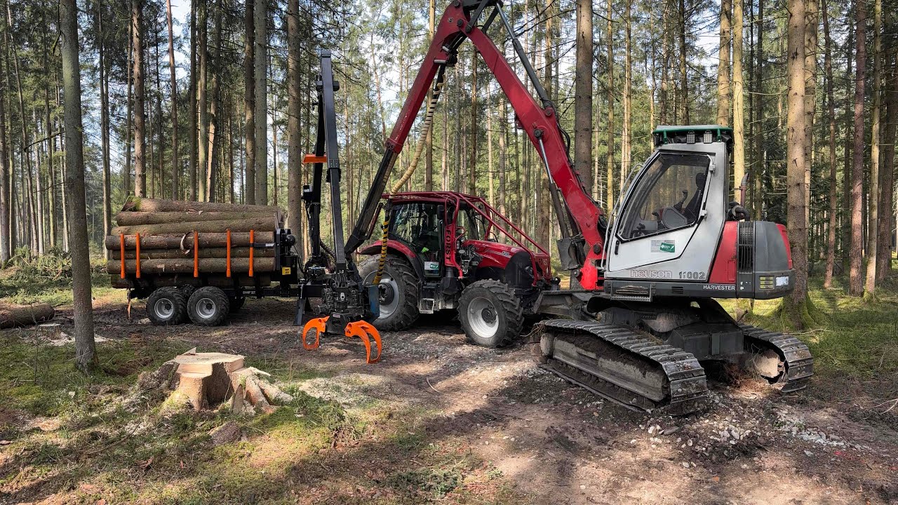 Borkenkäfer Kahlschlag Neuson 11002 HVT